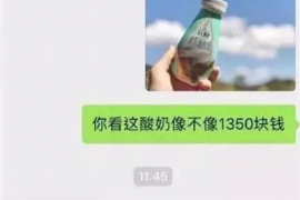 湟源为什么选择专业追讨公司来处理您的债务纠纷？